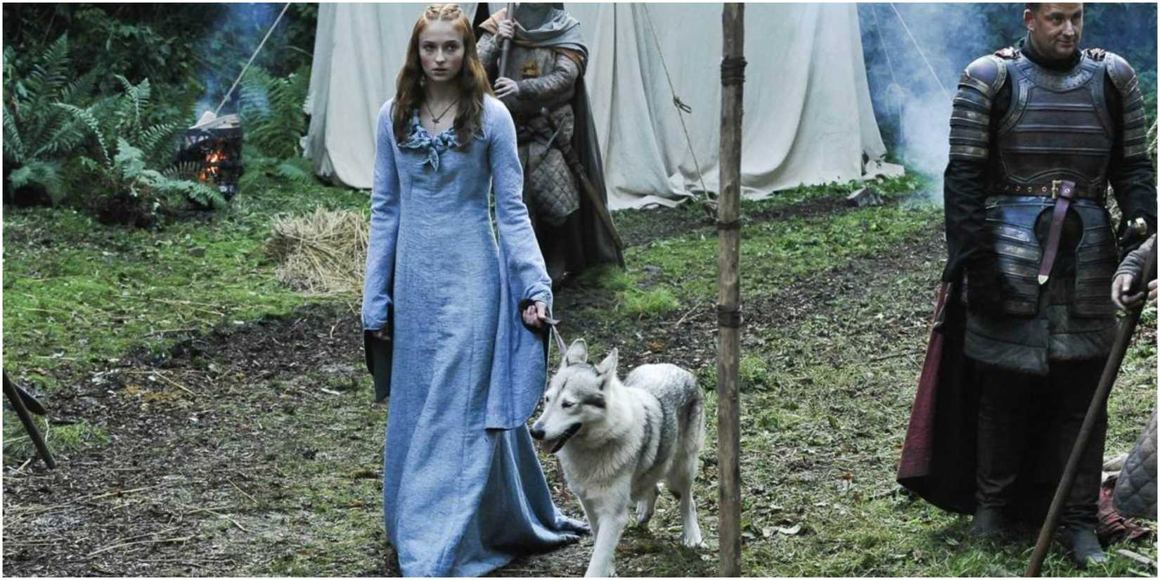 Sansa Stark and Lady in Game of Thrones.