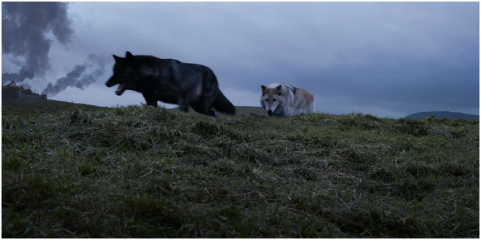 Shaggydog and Summer outside Winterfell in Game of Thrones.