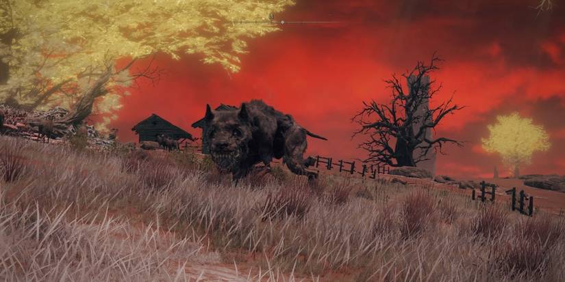 Monstrous Dog Attacking In Caelid In Elden Ring