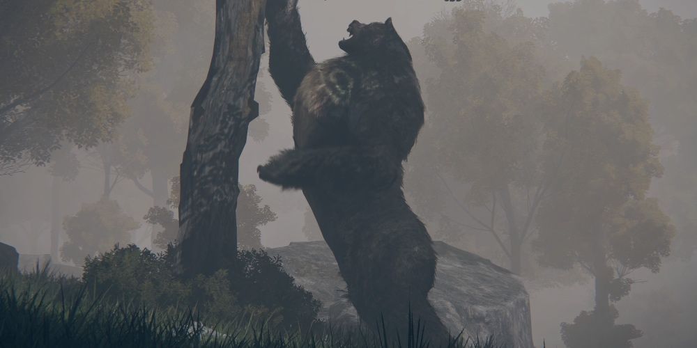 Lesser Runebear