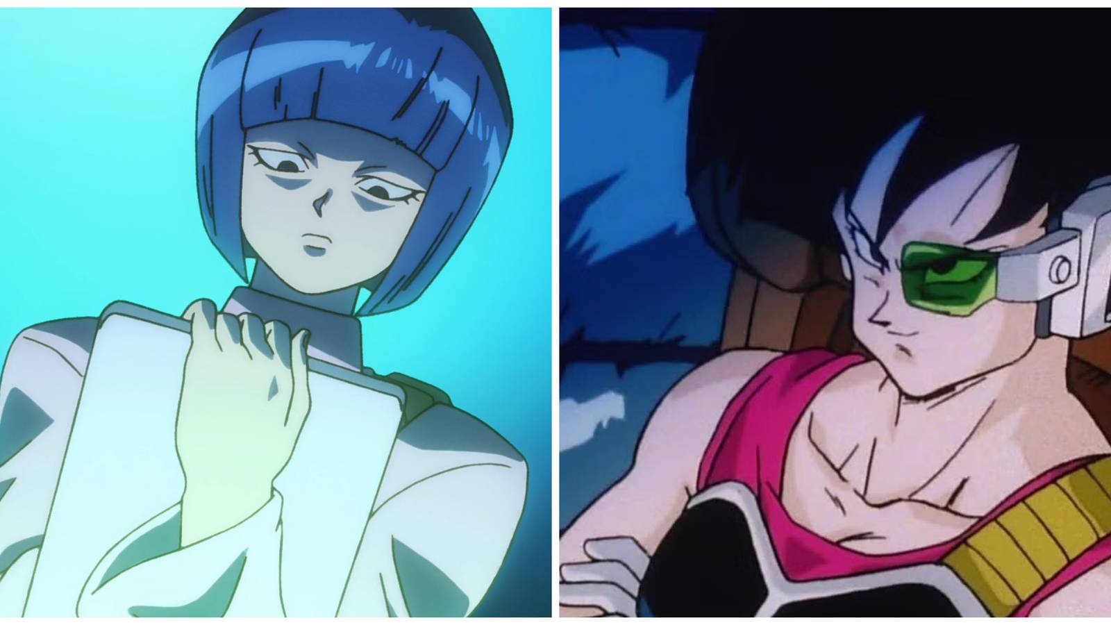 The Saiyans Fasha and Nion from the Dragon Ball series