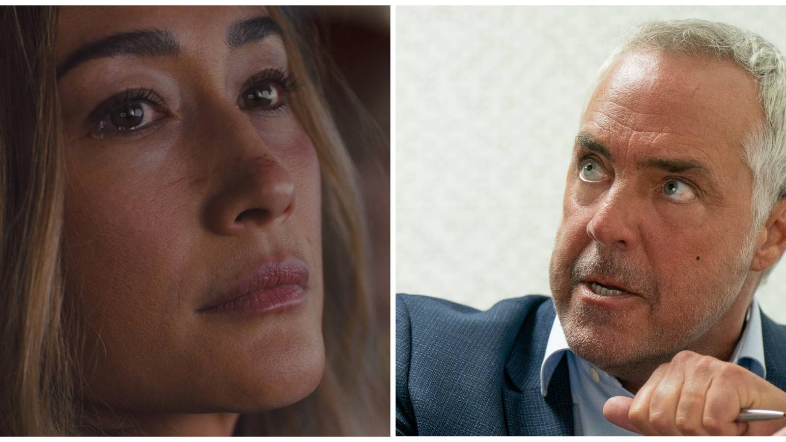 Renee Ballard/Harry Bosch