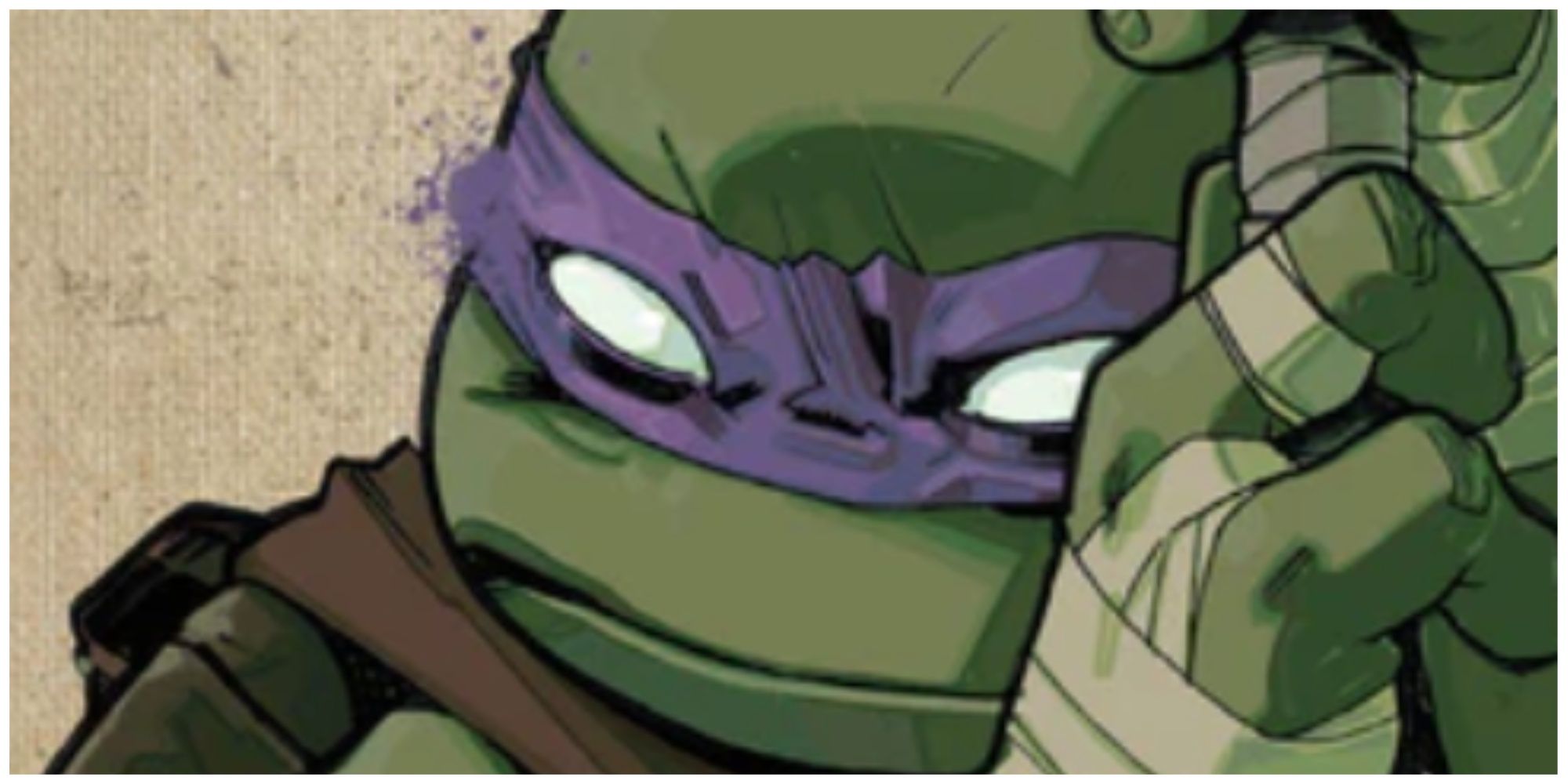 Donatello in IDW comic cover