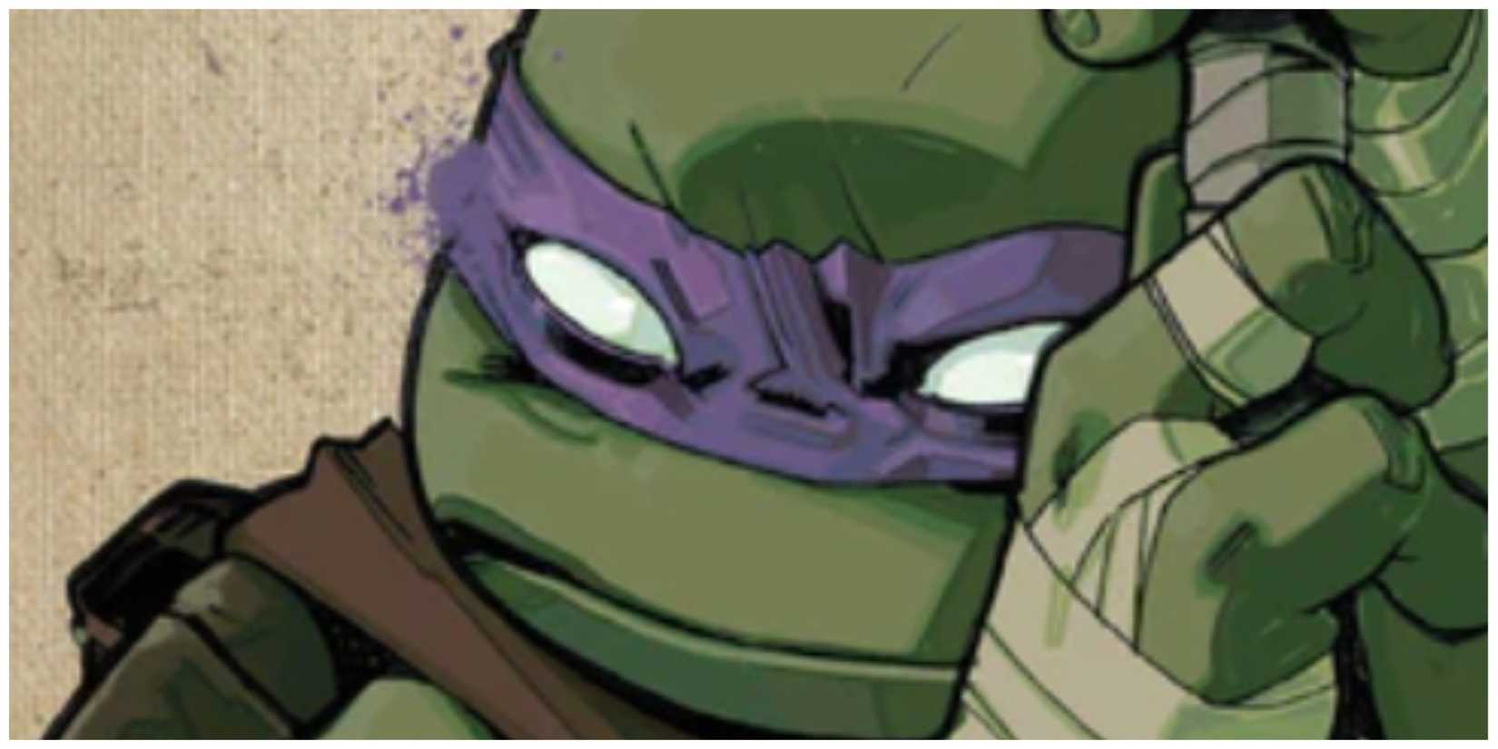 Donatello in IDW comic cover