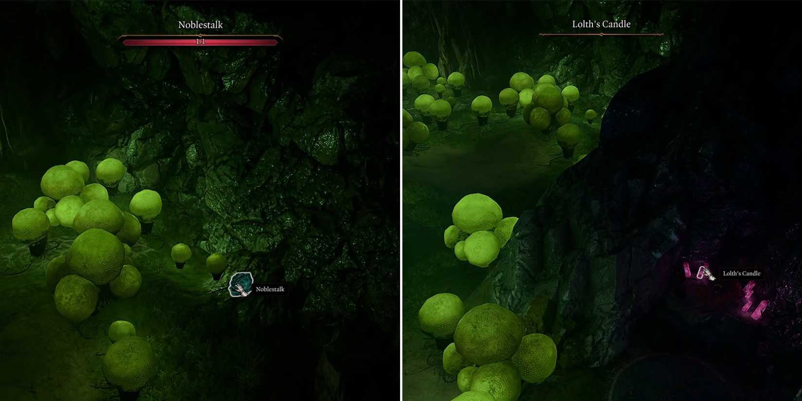 noblestalk and lolth candle location in baldurs gate 3