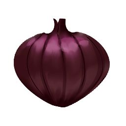 Onion