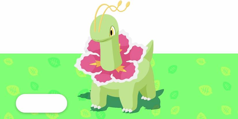 Meganium in Pokemon Sleep