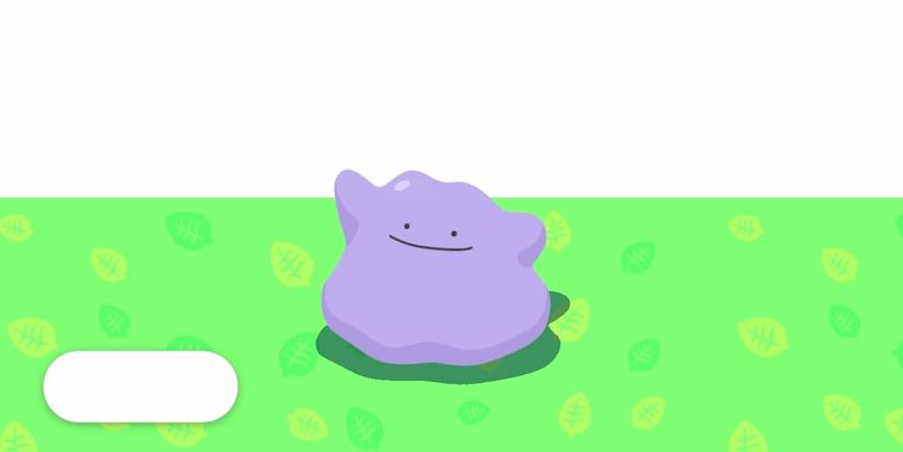 Ditto in Pokemon Sleep