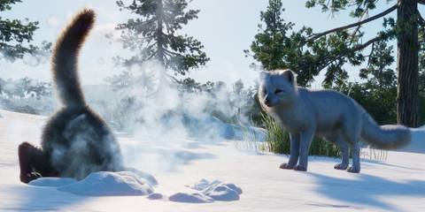 Arctic Fox diving in the snow in Planet Zoo 