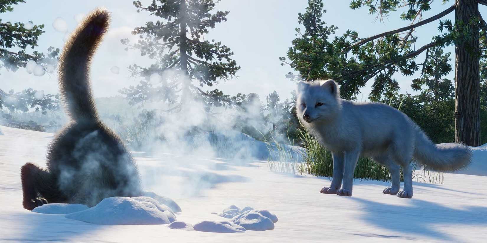 Arctic Fox diving in the snow in Planet Zoo 