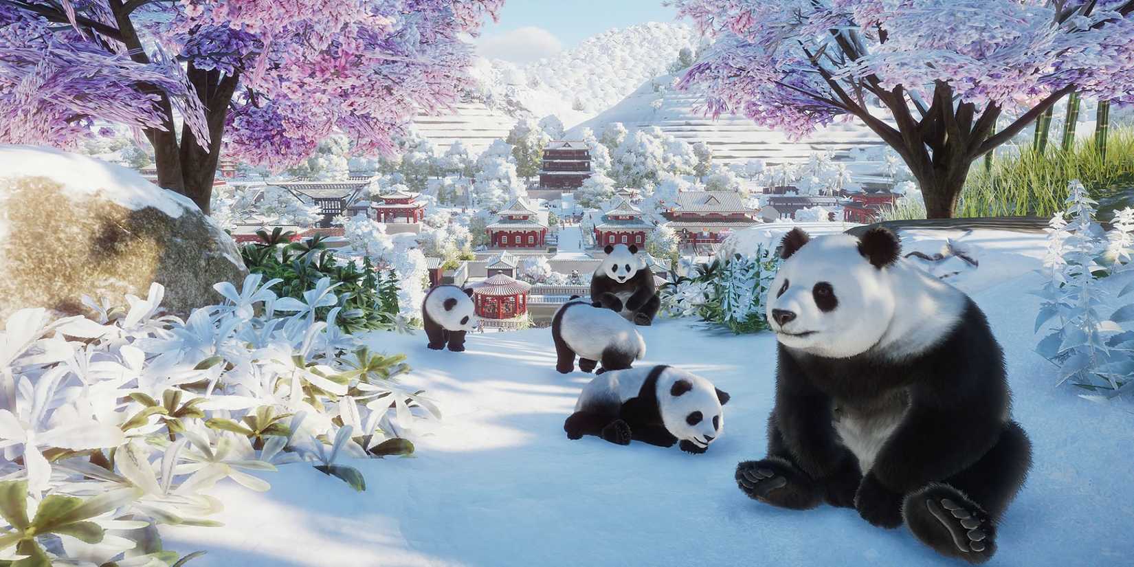 Giant Panda in Planet Zoo 