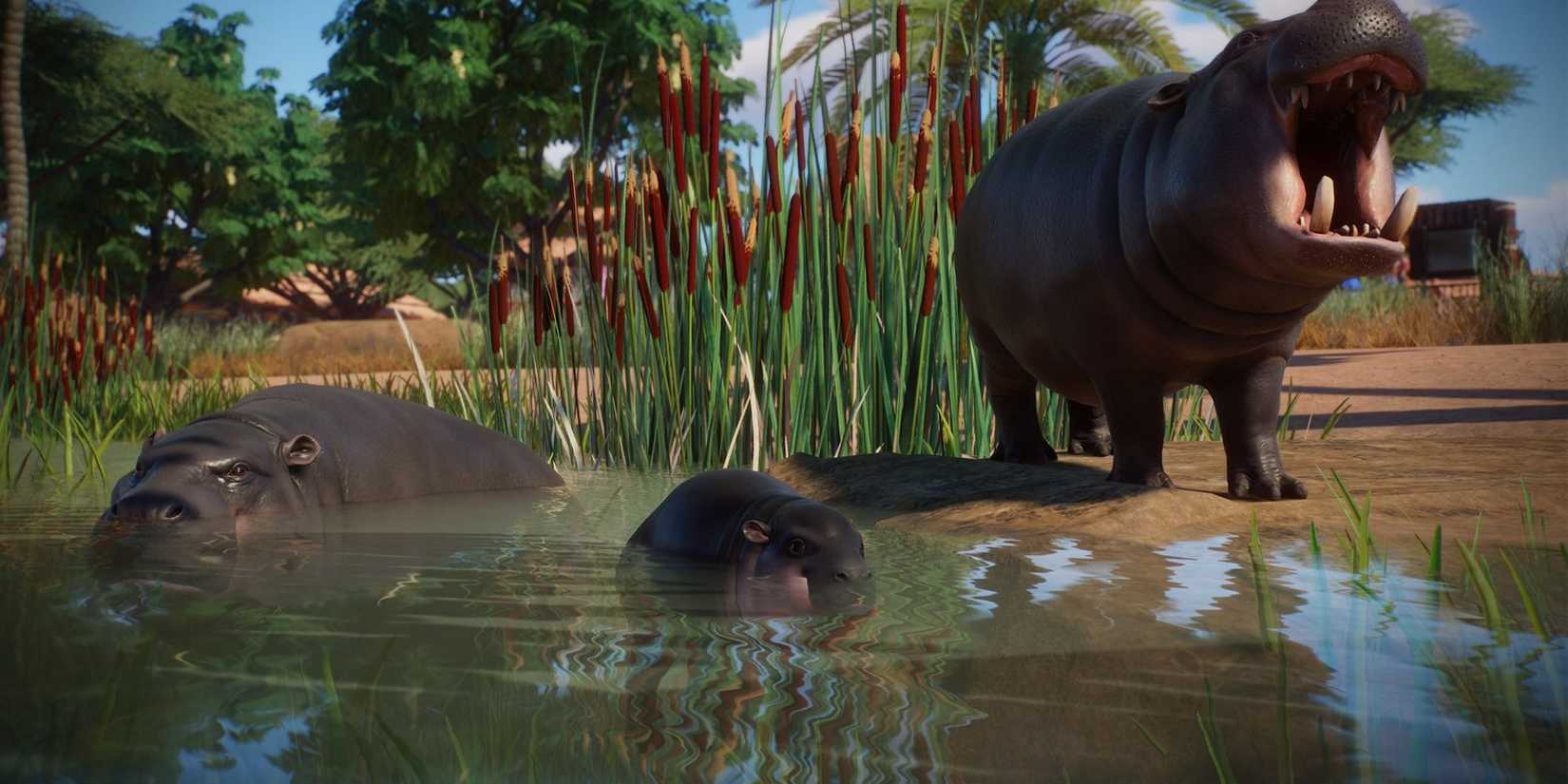 Pygmy Hippo in Planet Zoo 