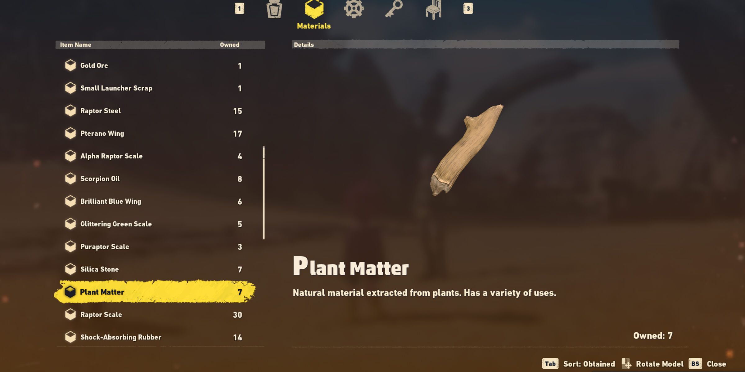 plant matter in sand land