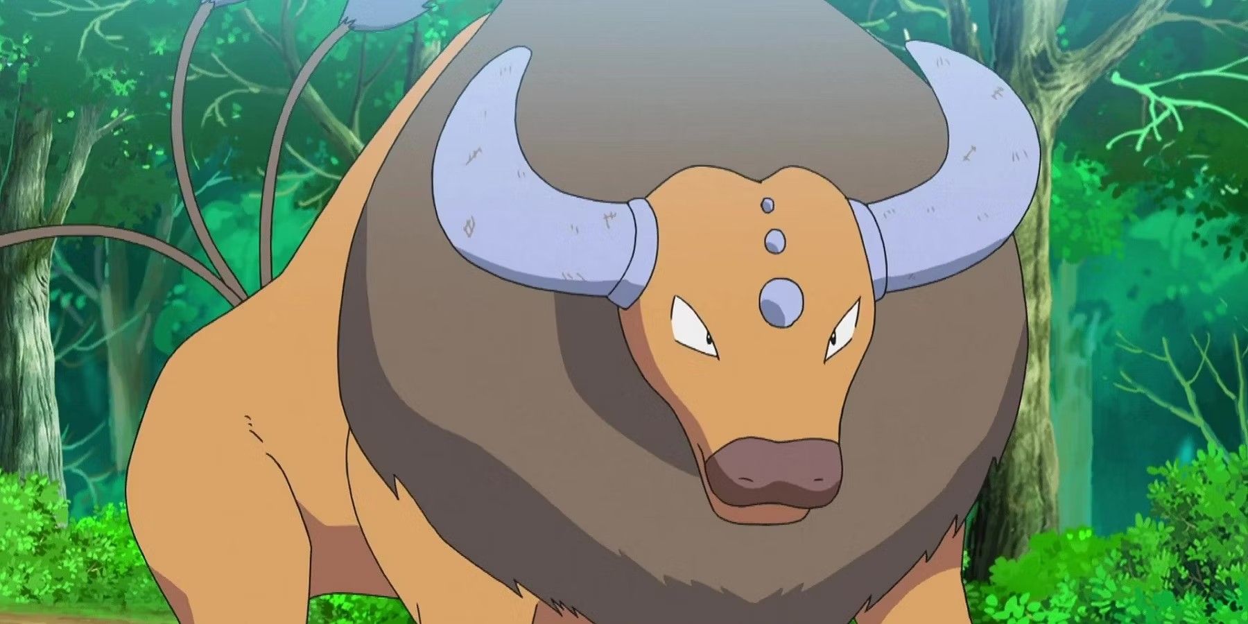 pokemon-tauros-anime-screenshot