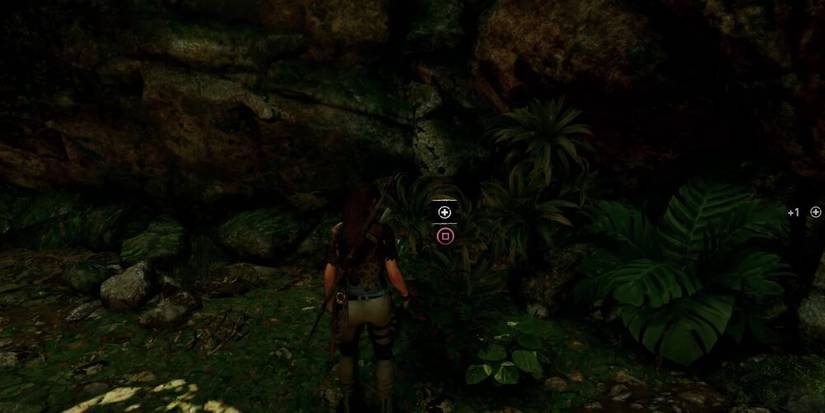Lara picking a health herb 