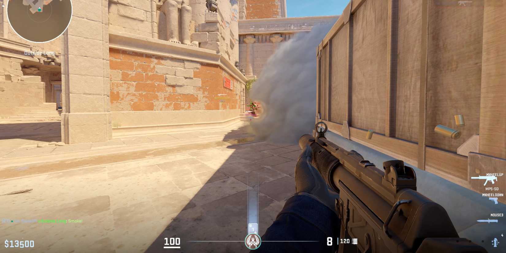 shooting an opponent through smoke in Counter Strike 2 