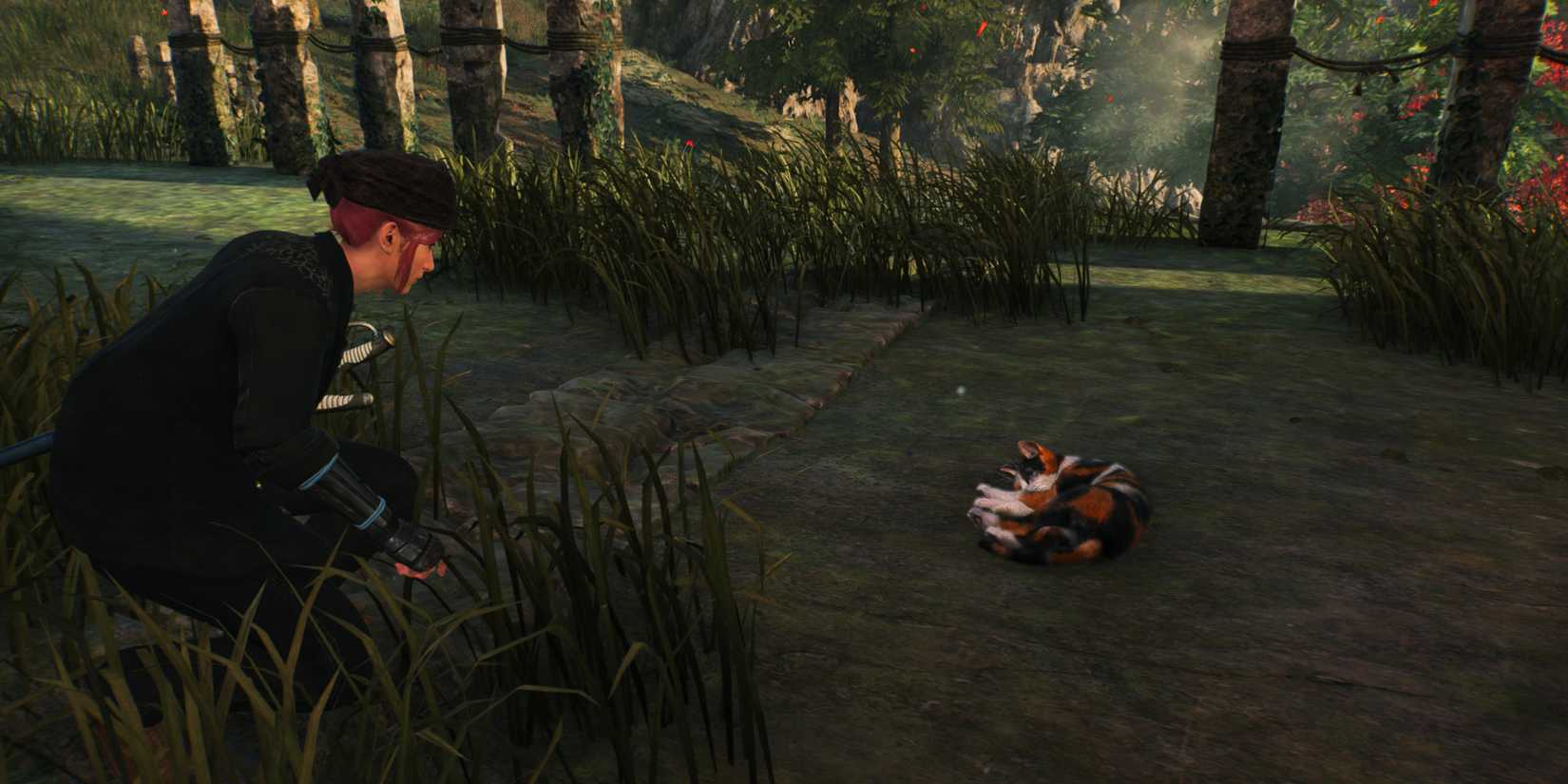 Sneaking up on a cat in Rise of the Ronin