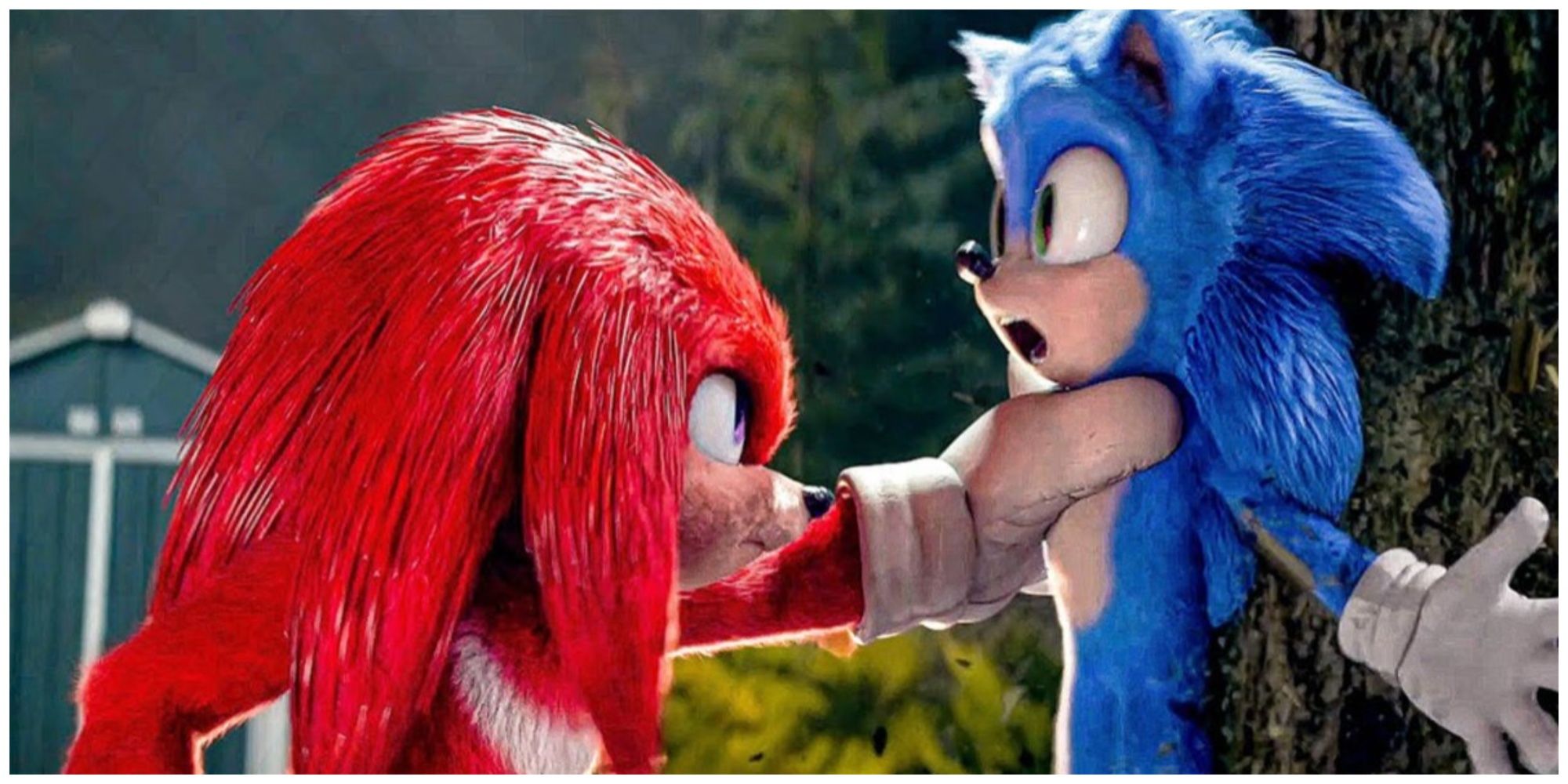Sonic and Knuckles Sonic 2
