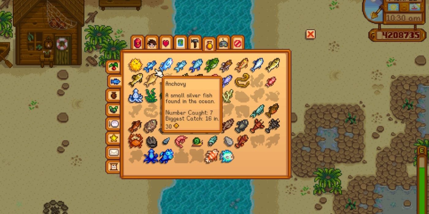 A screenshot of the Stardew Valley fish menu on the beach highlighting Anchovy