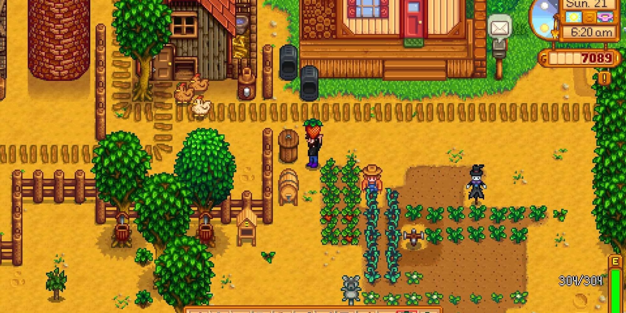 stardew-valley-apothecary-shop