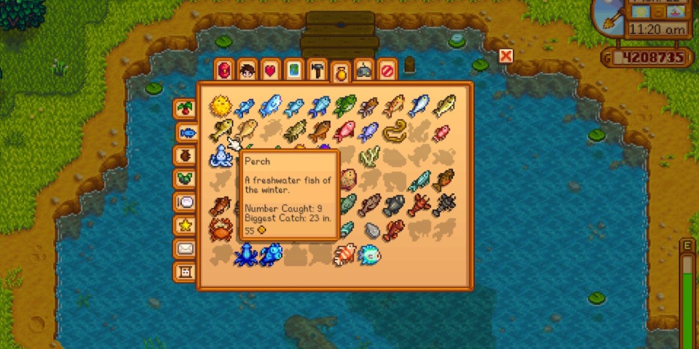 A screenshot of the Stardew Valley fish menu in the forest highlighting Perch