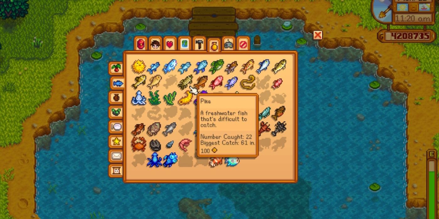A screenshot of the Stardew Valley fish menu in the forest highlighting Pike