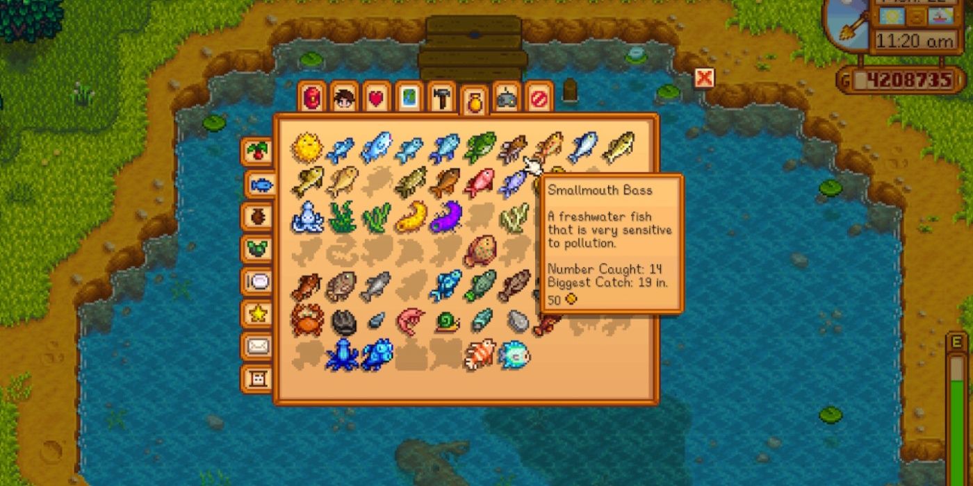 A screenshot of the Stardew Valley fish menu in the forest highlighting Smallmouth Bass