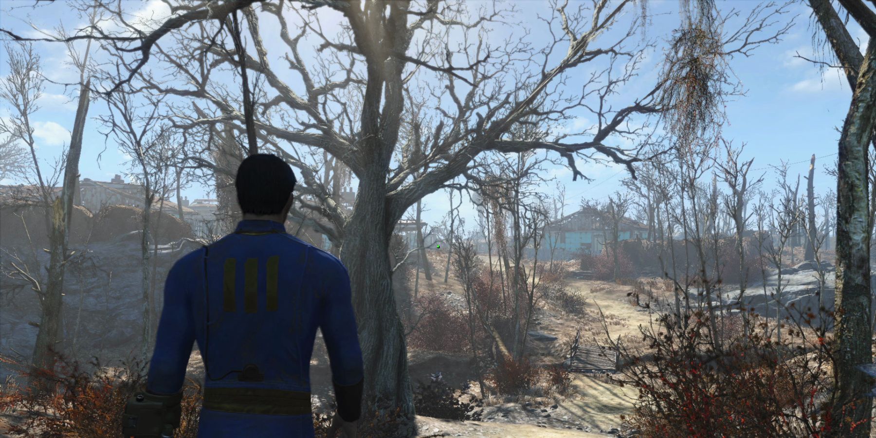 Fallout 4 character