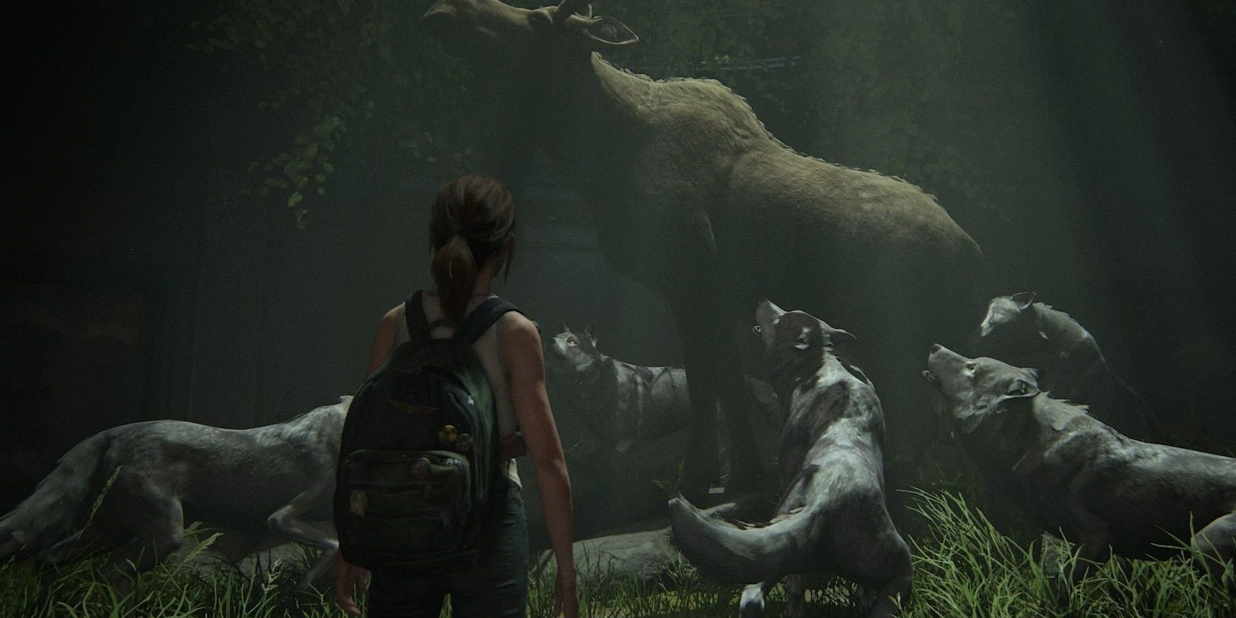The Last of Us 2 Ellie with Animals in the Museum