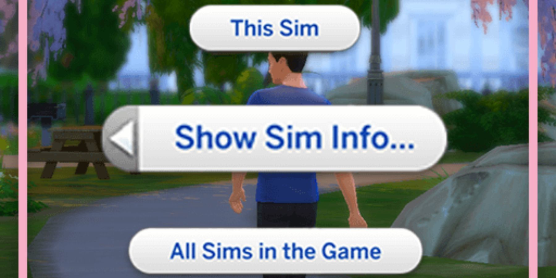 The Sims 4 Show Sim Info Mod