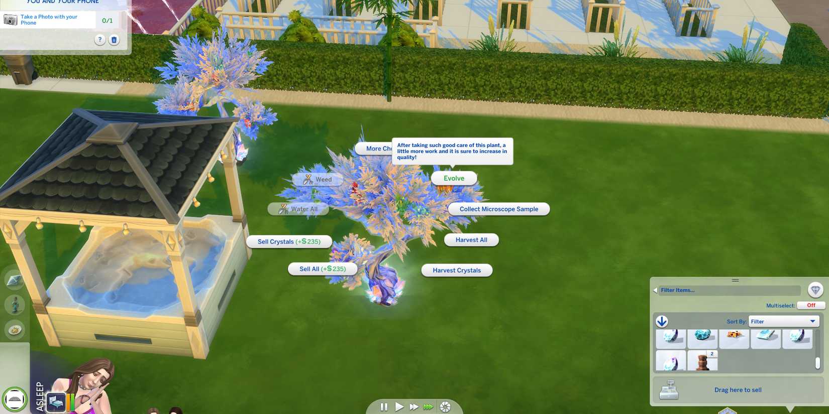 Image of a crystal tree that is ready to be evolved in The Sims 4