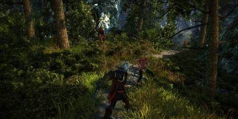 the witcher 2 geralt combat