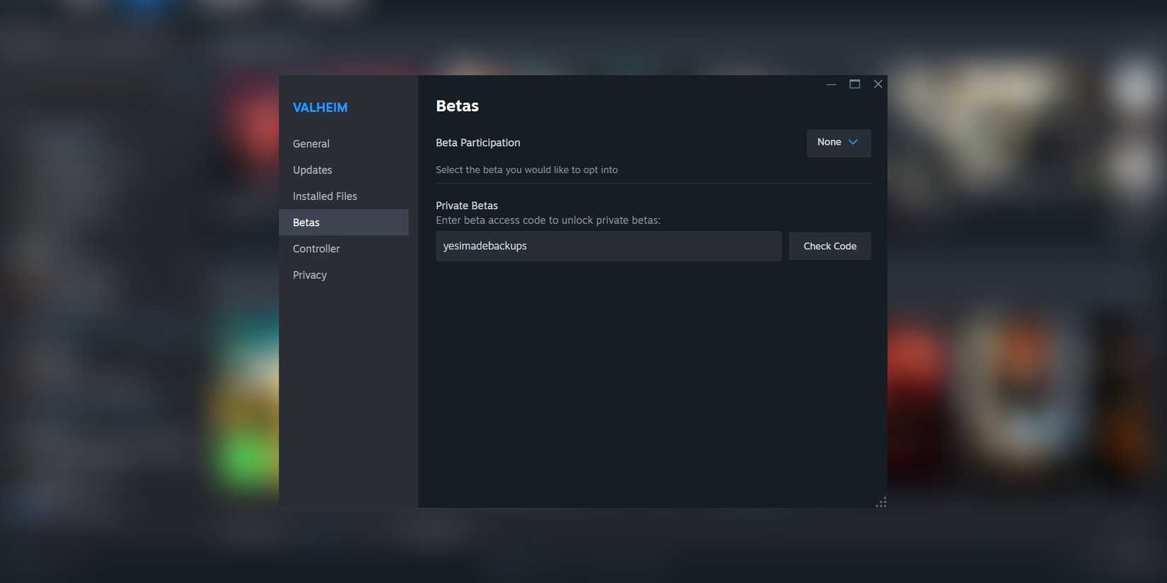 Accessing the Valheim PBT via Steam
