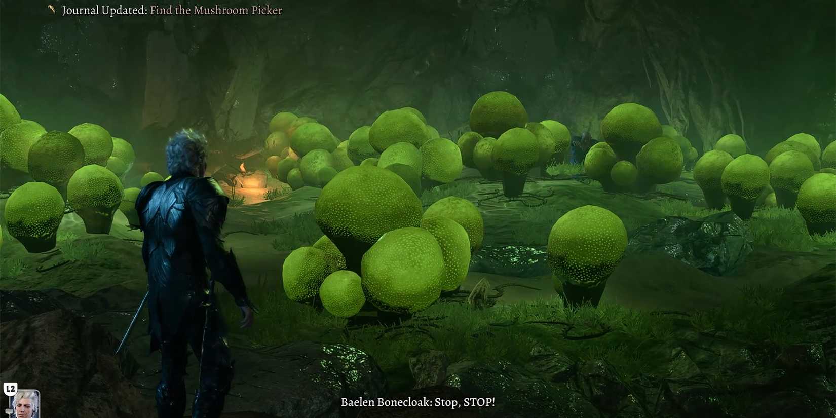 where to find the mushroom picker in baldurs gate 3