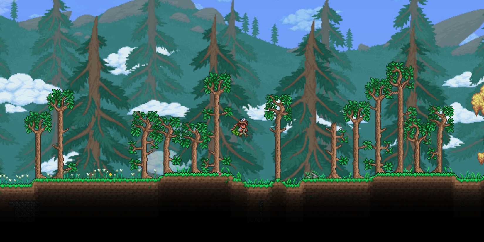 Wings in Terraria