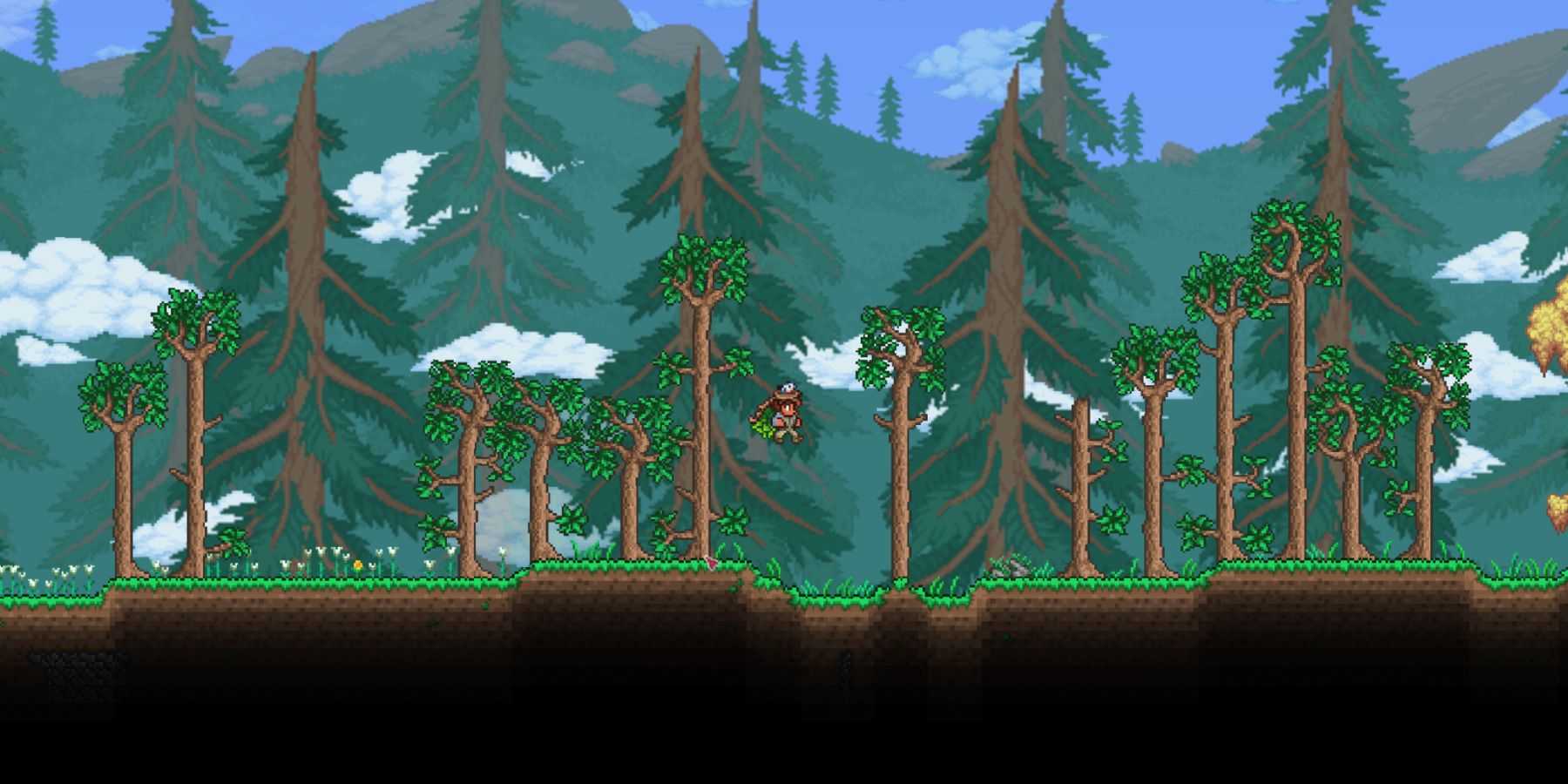 Wings in Terraria