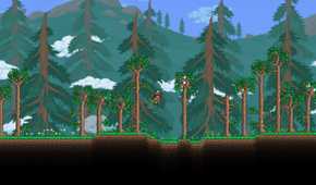 Wings in Terraria