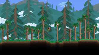 Wings in Terraria
