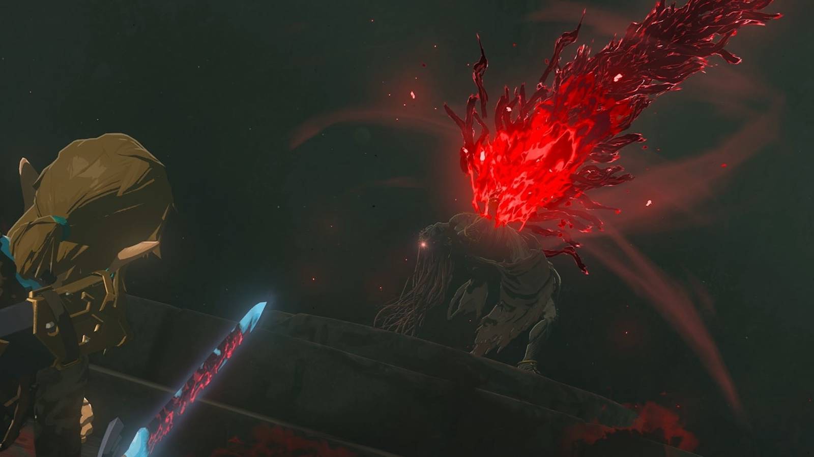 Zelda Tears of the Kingdom Hidden Cave