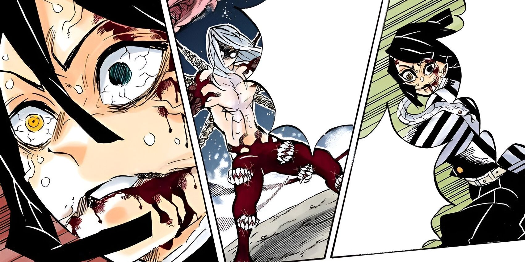 Demon Slayer: The Transparent World, Explained