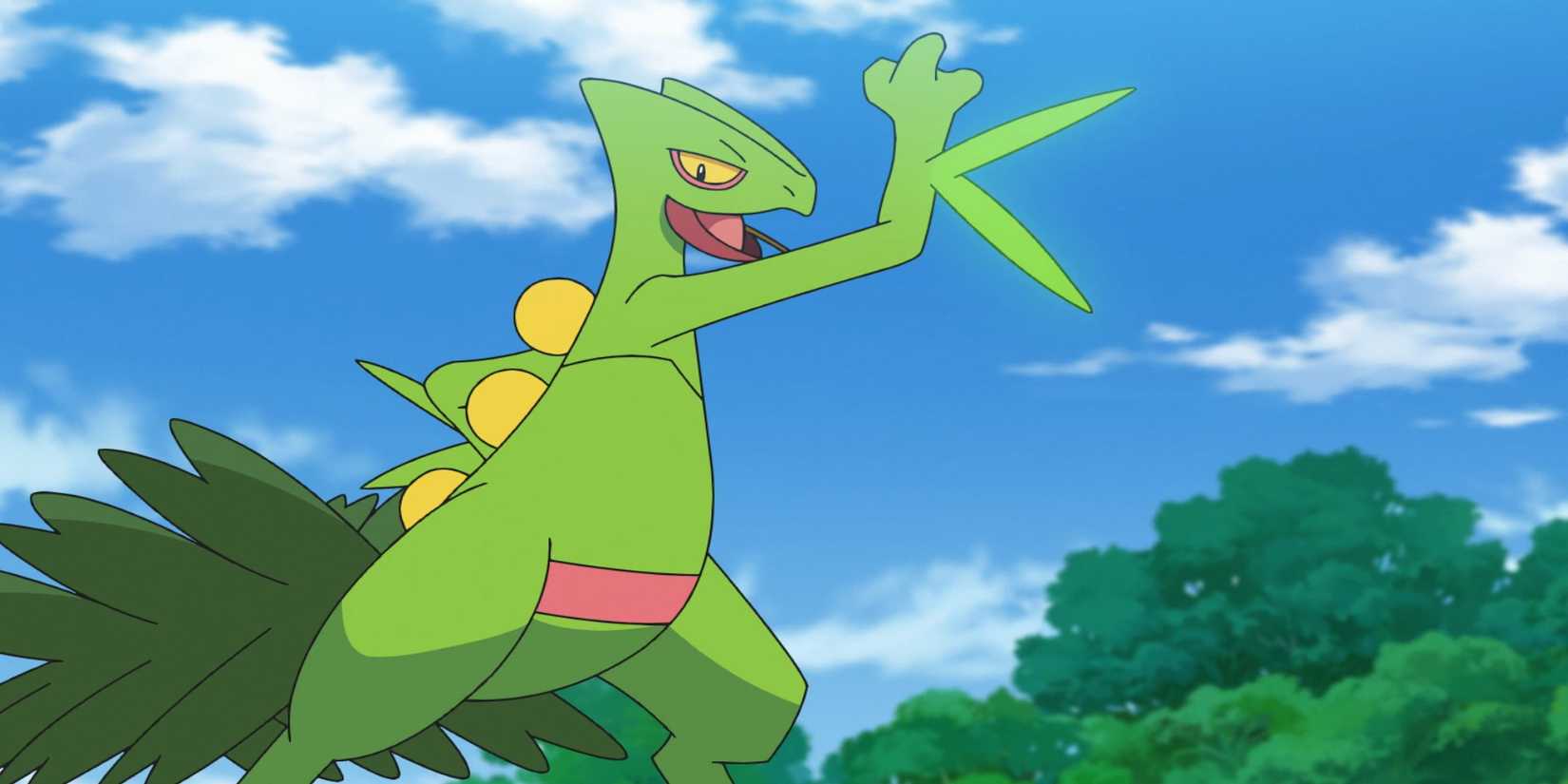 Sceptile In The Pokemon Anime
