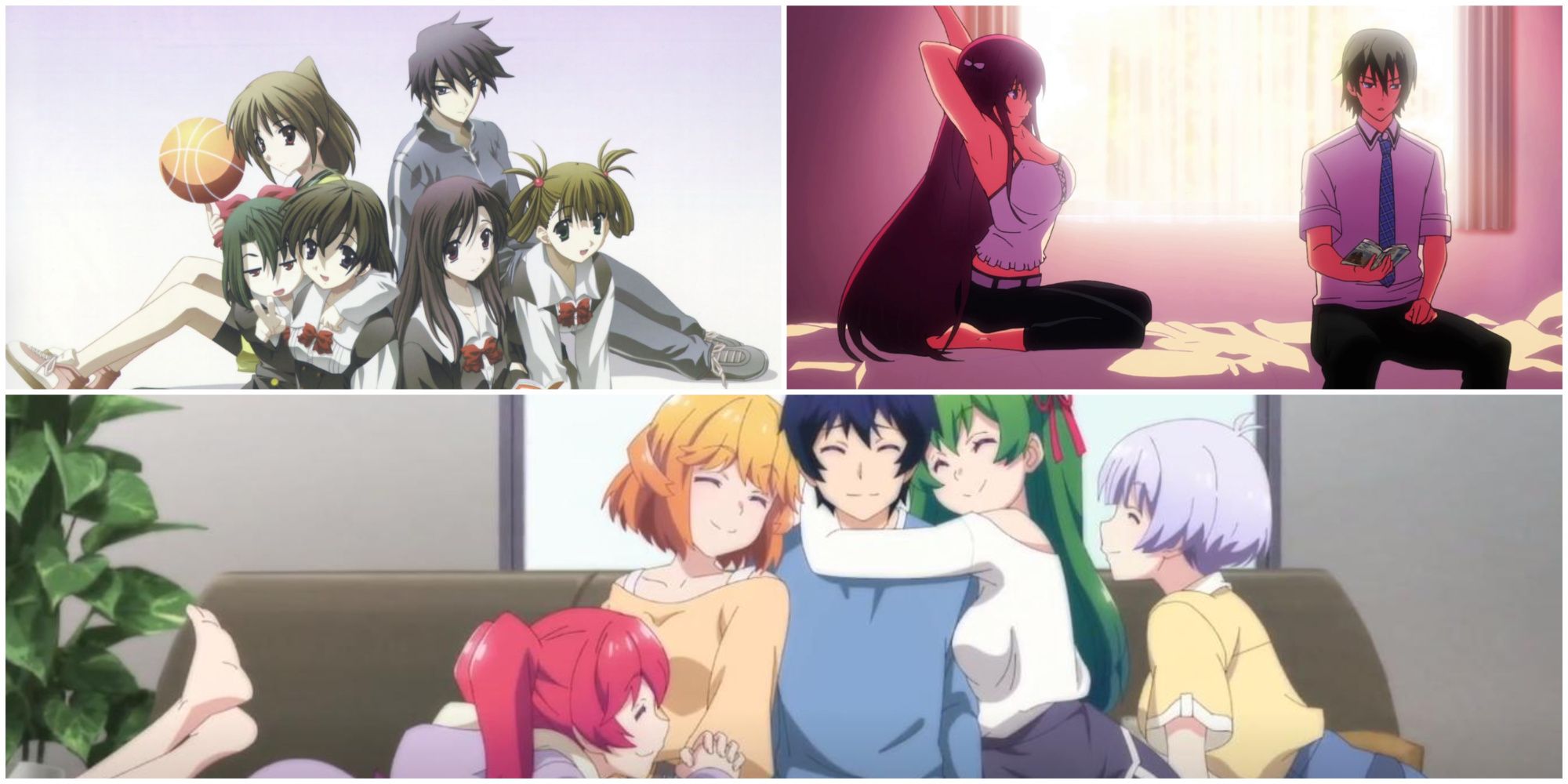 Darkest Harem Anime, Ranked