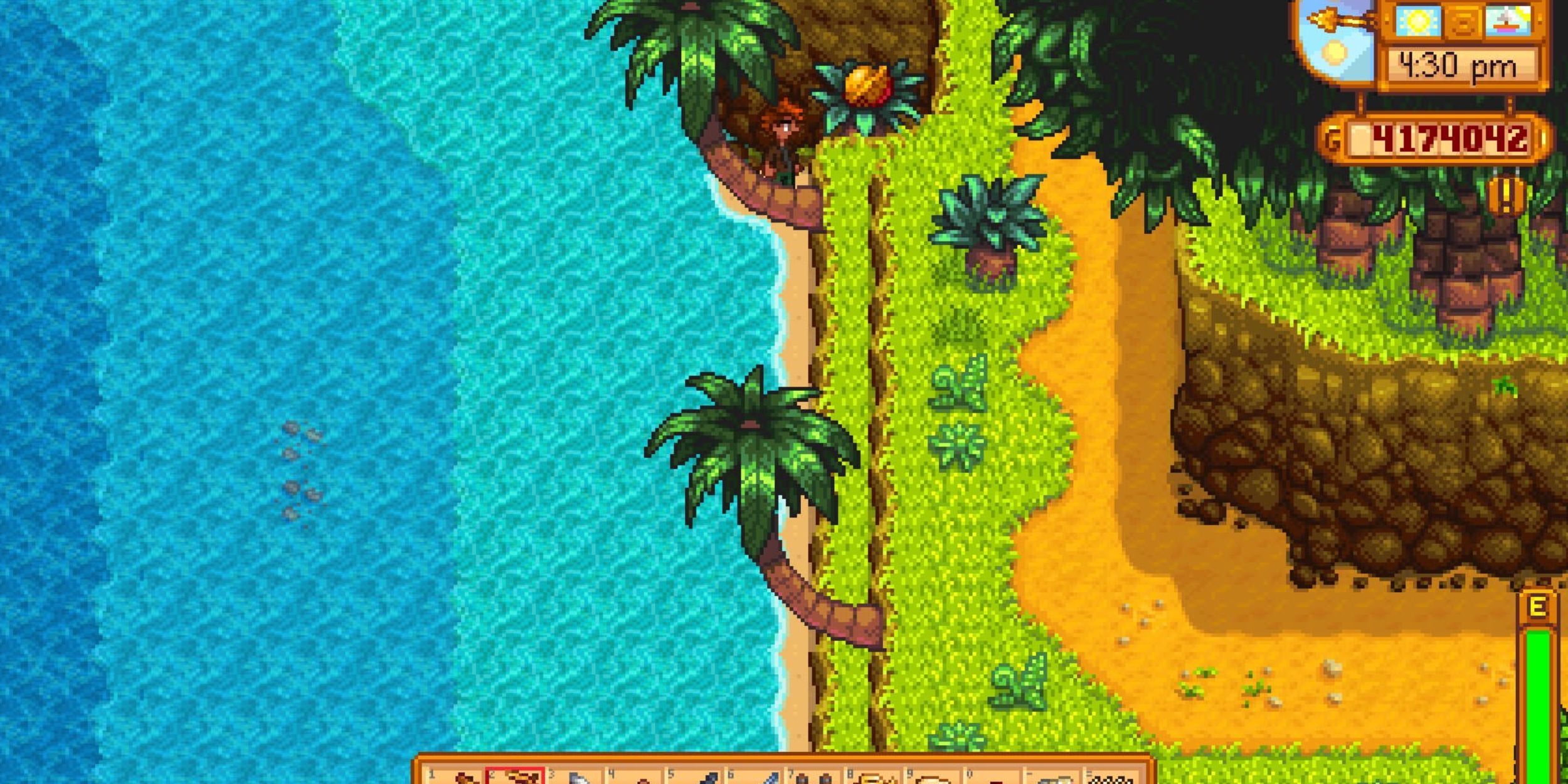 Stardew Valley All Ginger Island Hidden Areas Guide