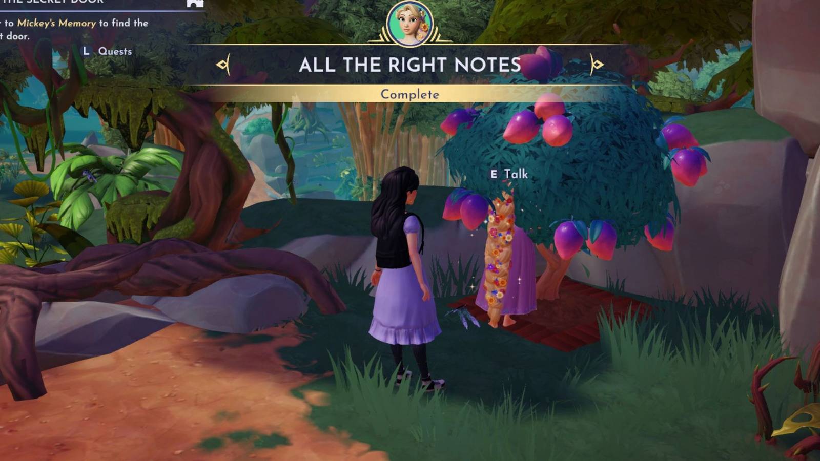 all the right notes ddv