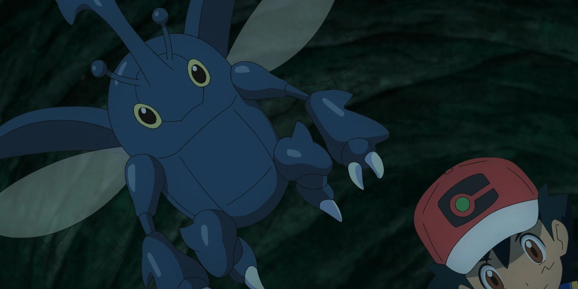 Ash's Heracross In The Pokemon Anime