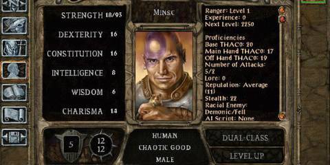 Baldur's Gate Minsc character sheet
