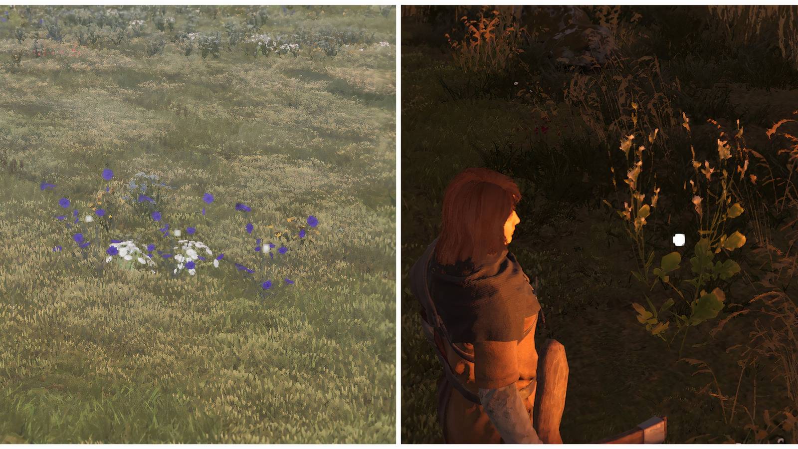 Split image of a flax plant and hemp plant in Bellwright