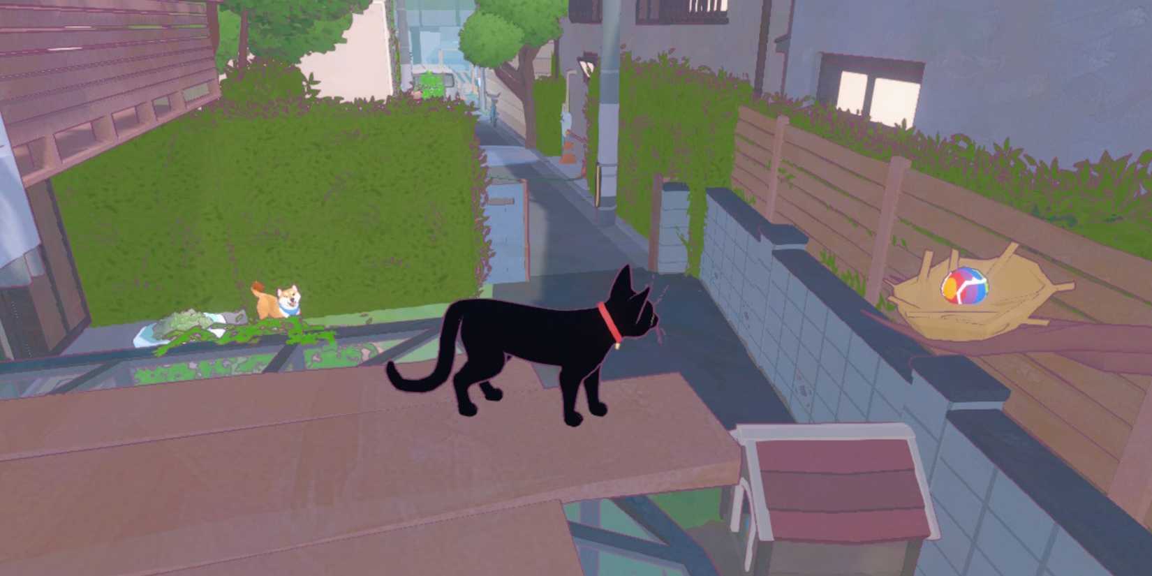 bird nest little kitty big city