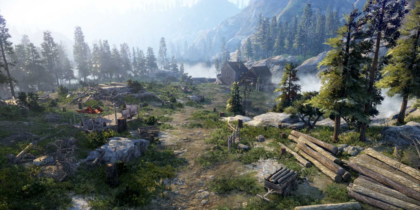 A forest area in Black Desert Online