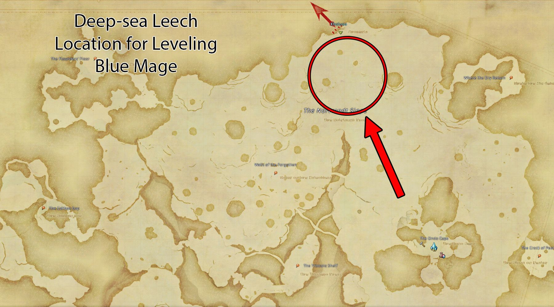 A map of The Tempest in Final Fantasy 14, with the location of Deep-sea Leeches circled in red.